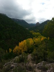 20151011_150946.jpg