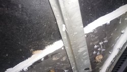 DSC_0318.jpg