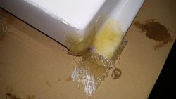 20151118_004720.jpg