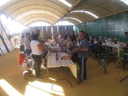 IMG_0089.jpg