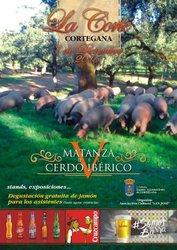 matanza corte.jpg
