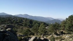 _DSC9955.jpg