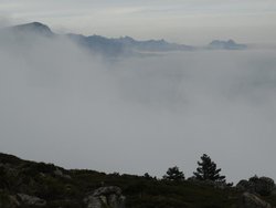 DSC00332.jpg