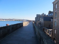 IMG_3634.jpg