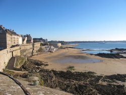 IMG_3644.jpg