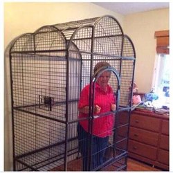 sue.jpg