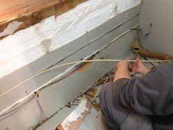 IMG_9424.jpg