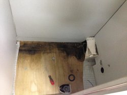 IMG_0031.jpg