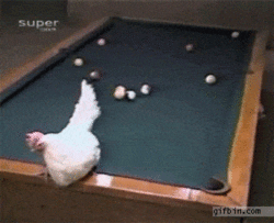 tumblr_nzabjfqRHU1v1cw6bo1_400.gif