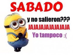 sabado-y-no-salieron-jaja-yo-tampoco-300x226.jpg