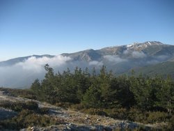 IMG_0045.jpg