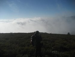 IMG_0048.jpg