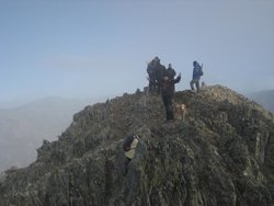 IMG_0050.jpg