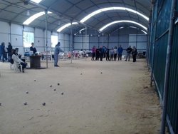 2016-02-13 13.05.07.jpg