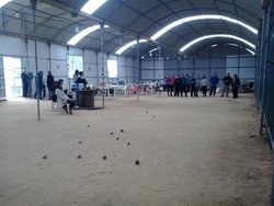 2016-02-13 13.05.19.jpg
