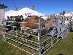 IMG_20160220_130333.jpg