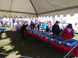 IMG_20160220_130432.jpg