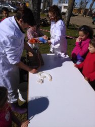 IMG_20160220_134859.jpg