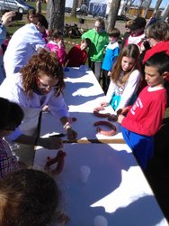 IMG_20160220_135259.jpg