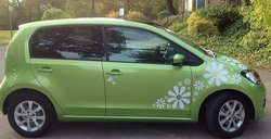 flores vinilos para coches.JPG