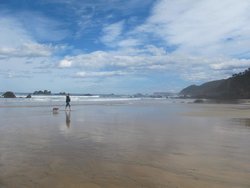 IMG_4535.jpg