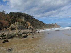 IMG_4543.jpg