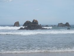 IMG_4539.jpg