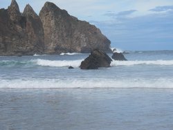 IMG_4540.jpg