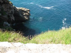 IMG_5631.jpg