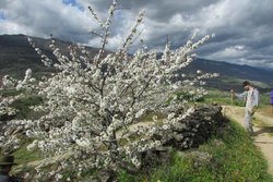 IMG_0723.jpg