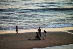 IMG_5136.jpg