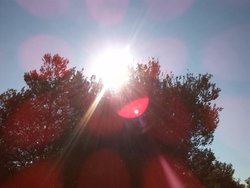 IMG_20130707_185309.jpg