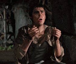 Untitled(1).gif