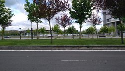 IMG_20160512_182341.jpg