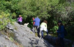 _DSC0053.jpg