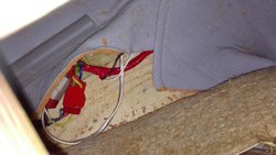 IMG_20160529_131531.jpg