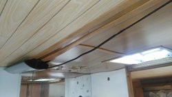 IMG_20160529_121237.jpg