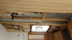 IMG_20160529_144805.jpg