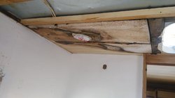 IMG_20160529_145741.jpg
