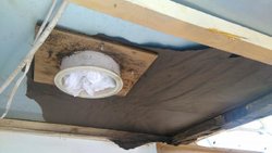 IMG_20160529_150745.jpg