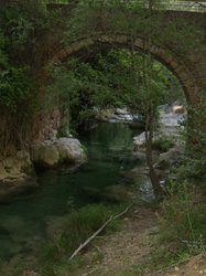 cazorla 004.jpg