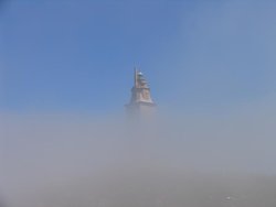 IMG_7487.jpg