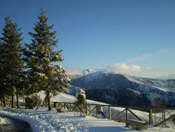 20090131_18170520090131_13.jpg