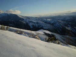 20090131_18200020090131_15.jpg