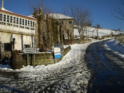 20090131_17395420090131_08.jpg