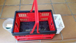 20160603_110809.jpg