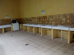 picas fregaplatos.jpg