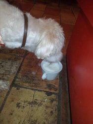 IMG_20160514_111202.jpg
