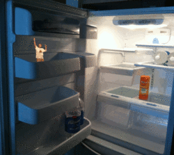 frigo.gif