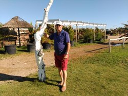 IMG_20160613_190533.jpg